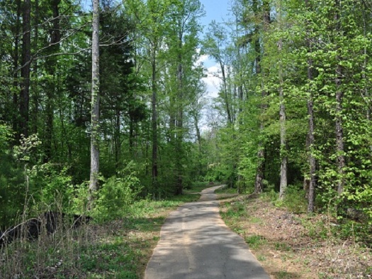 Walking Trails Walking Trails
